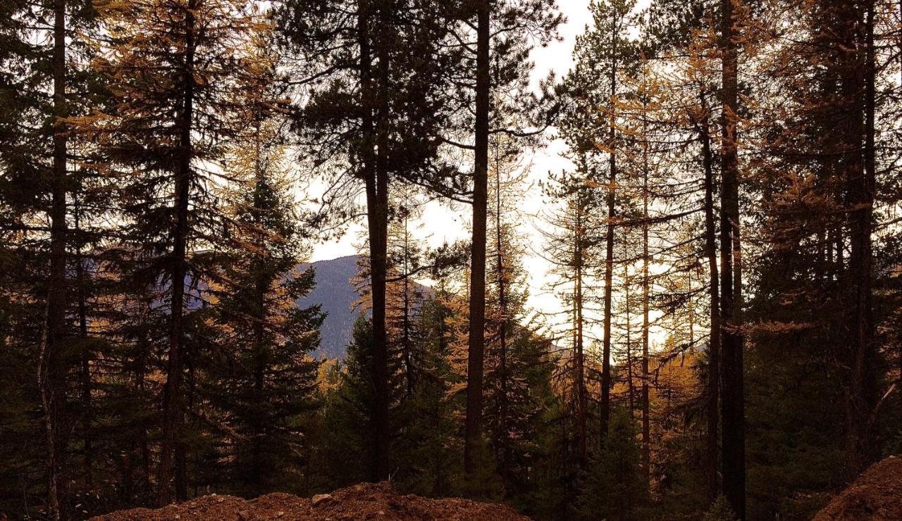 The Ridge At Glacier - Luxury Cabins Coram Экстерьер фото